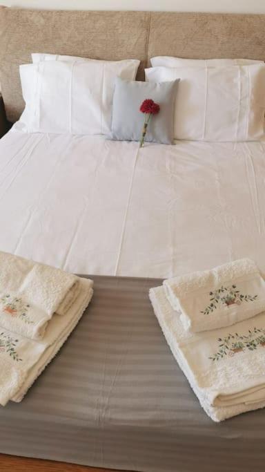 Amazing Lodge By The Ocean - Fully Equipped! Ericeira Bagian luar foto