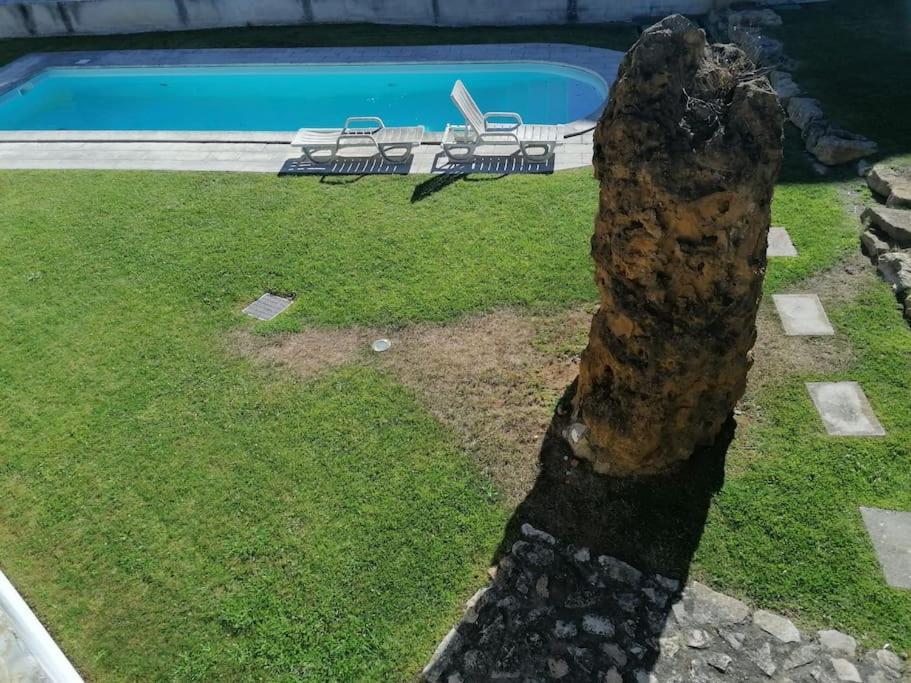 Amazing Lodge By The Ocean - Fully Equipped! Ericeira Bagian luar foto